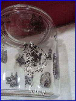 1st Place SYRACUSE OKA KENNEL HERDING GROUP Dog Cookie Glass Jar 1984 LOOK