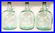(3) Gallon Glass Bottle Clear Jar Jug Container Dispenser with Handle