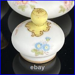 Antique Mt Washington Glass Crown Milano Creamer & Sugar Jar Lidded Floral