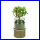 Artificial Potted Crassula Succulent Plant in Glass Jar with Burlap Grip 18cm