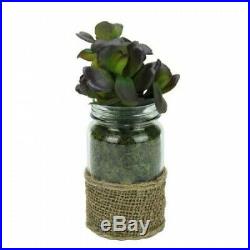 Artificial Potted Jade Succulent Plant in Glass Jar with Burlap Grip 19cm