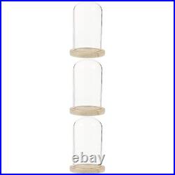 Clear Glass Dome Cloche with Rustic Wooden Base Tay Handle Cloche Bell Jar Cake
