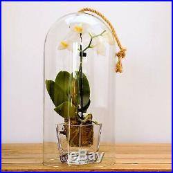 Eco Glass Dome Cloche Cover & Rope Handle Orchid Cover Choice of Sizes
