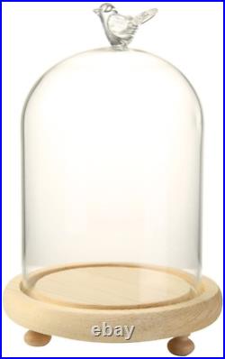 Forart Clear Glass Cloche Bell Jar Display Case with Bird Handle Wooden Base, Cl