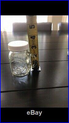 GOLDEN HARVEST Clear Glass Mason Jar Salt & Pepper Shakers Set with Handles