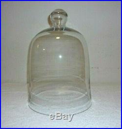 Glass Bell Cloche Dome Plant Jar With Knob Handle. 12 Tall x 8-3/4 Base