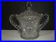 Glass Covered Biscuit Jar American Brilliant Double Handled