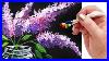 Lilacs In Mason Jar Q Tip Painting For Beginners Tutorial