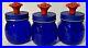 Lot of 3 New The Pioneer Woman Small Blue Storage Jar with Red Rose Screw On Lid