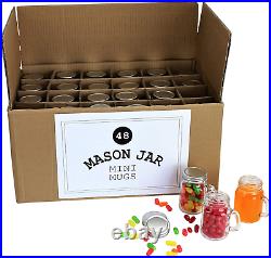 Mini Mason Jar 4 Ounce Mugs Set Of 48 Glasses With Handles And Leak-Proof Lids