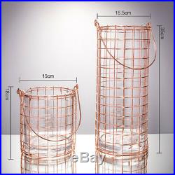 Modern Glass Vase Bottle Rose Pink Iron Wire Handle Straight Ornaments Water Jar