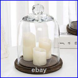 MyGift Clear Cloche Glass Dome, Display Bell Jar with Top Handle and