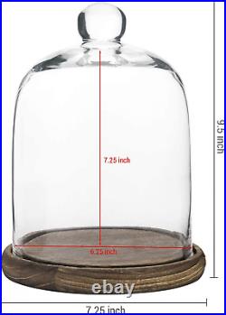 MyGift Clear Cloche Glass Dome, Display Bell Jar with Top Handle and