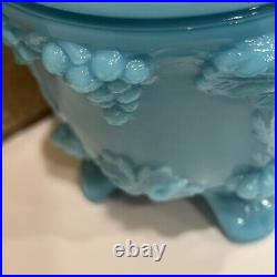 Portieux Vallerysthall Opaline Turquoise Blue Milk Glass Jam Jar Grape Pattern