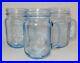 Set of 3 Blue Country Fair Rooster Chicken Handle 16 oz Glass Drinking Pint Jars