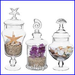 Set of 3 Seashell Handle Clear Glass Apothecary Jars / Food Storage