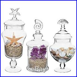 Set of 3 Seashell Handle Clear Glass Apothecary Jars/Food Storage Canisters