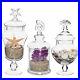 Set of 3 Seashell Handle Glass Apothecary Jars / Food Canisters / Centerpieces