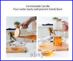 Water Bottle Jar with Lid and Handle Transparent Large Capacity Hot or Cold Use